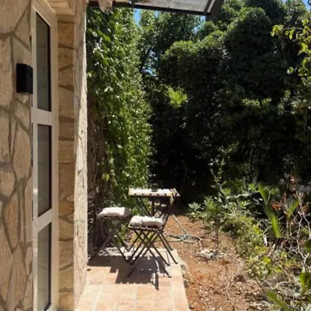 Διαμέρισμα Marghareta Nest - Location - *